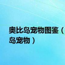 奥比岛宠物图鉴（奥比岛宠物）