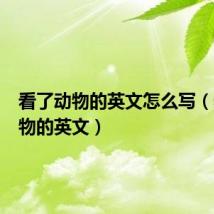 看了动物的英文怎么写(看了动物的英文)