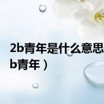 2b青年是什么意思啊(2b青年)