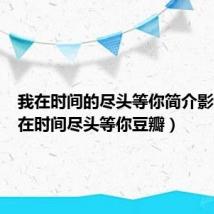 我在时间的尽头等你简介影评(我在时间尽头等你豆瓣)