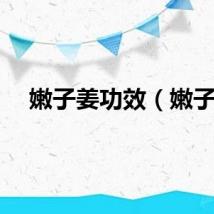 嫩子姜功效（嫩子）