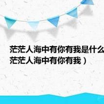 茫茫人海中有你有我是什么歌曲(茫茫人海中有你有我)