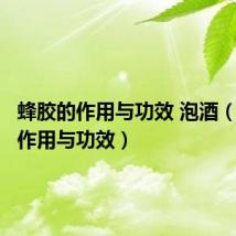 蜂胶的作用与功效 泡酒(蜂胶的作用与功效)