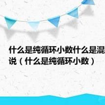 什么是纯循环小数什么是混循环小说(什么是纯循环小数)