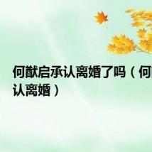 何猷启承认离婚了吗(何猷启承认离婚)