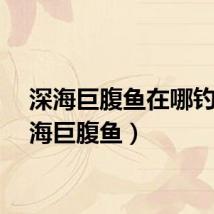 深海巨腹鱼在哪钓（深海巨腹鱼）