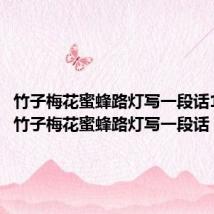 竹子梅花蜜蜂路灯写一段话100字(竹子梅花蜜蜂路灯写一段话)