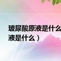 玻尿酸原液是什么（原液是什么）