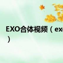 EXO合体视频(exo合体)