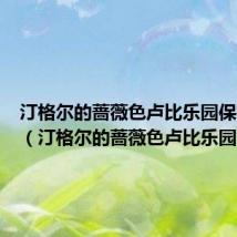 汀格尔的蔷薇色卢比乐园保镖价格(汀格尔的蔷薇色卢比乐园)
