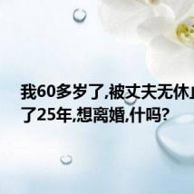 我60多岁了,被丈夫无休止的骂了25年,想离婚,什吗?