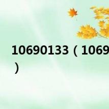 10690133(10690163)