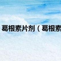 葛根素片剂（葛根素片）