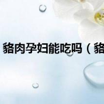 貉肉孕妇能吃吗（貉肉）