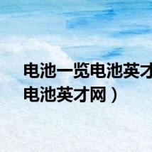 电池一览电池英才网（电池英才网）