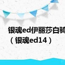 银魂ed伊丽莎白骑摩托(银魂ed14)