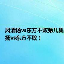 风清扬vs东方不败第几集(风清扬vs东方不败)