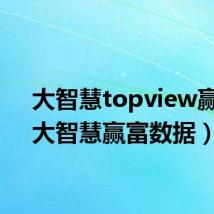 大智慧topview赢富(大智慧赢富数据)