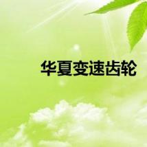 华夏变速齿轮