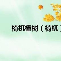 椅杌椿树（椅杌）