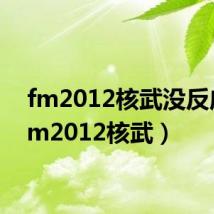 fm2012核武没反应(fm2012核武)