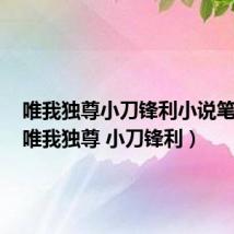 唯我独尊小刀锋利小说笔趣阁(唯我独尊 小刀锋利)