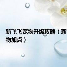 新飞飞宠物升级攻略(新飞飞宠物加点)