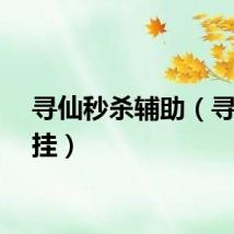 寻仙秒杀辅助（寻仙外挂）
