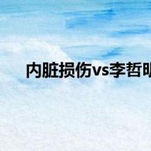 内脏损伤vs李哲明