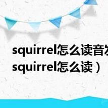 squirrel怎么读音发音(squirrel怎么读)
