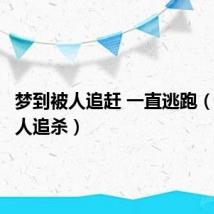 梦到被人追赶 一直逃跑(梦到被人追杀)