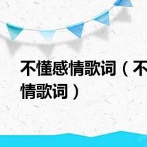 不懂感情歌词（不懂爱情歌词）