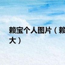 赖宝个人图片（赖宝多大）