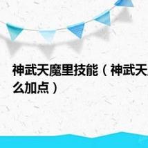 神武天魔里技能(神武天魔里怎么加点)