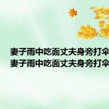 妻子雨中吃面丈夫身旁打伞视频(妻子雨中吃面丈夫身旁打伞)
