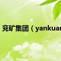 兖矿集团(yankuang)