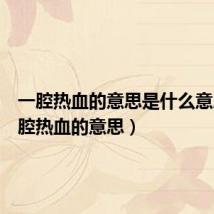 一腔热血的意思是什么意思(一腔热血的意思)