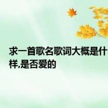 求一首歌名歌词大概是什么的模样,是否爱的