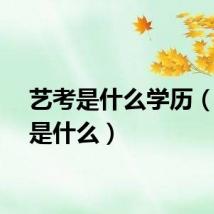 艺考是什么学历（艺考是什么）