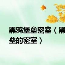 黑鸦堡垒密室（黑鸦堡垒的密室）