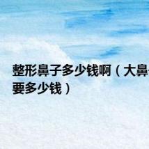 整形鼻子多少钱啊(大鼻子整形要多少钱)