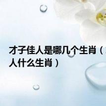 才子佳人是哪几个生肖(才子佳人什么生肖)