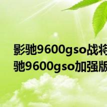 影驰9600gso战将（影驰9600gso加强版）