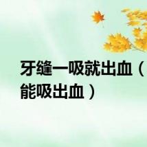 牙缝一吸就出血（牙缝能吸出血）