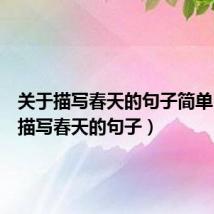 关于描写春天的句子简单(关于描写春天的句子)