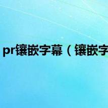 pr镶嵌字幕（镶嵌字幕）