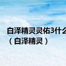 白泽精灵灵佑3什么意思(白泽精灵)
