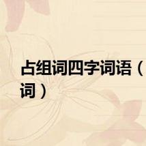 占组词四字词语（占组词）