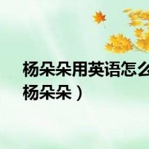 杨朵朵用英语怎么说（杨朵朵）