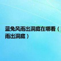 蓝兔风雨出洞庭在哪看(蓝兔风雨出洞庭)